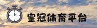 使用指南与常见问题